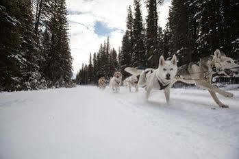 Hotel Bookcanmore 4*